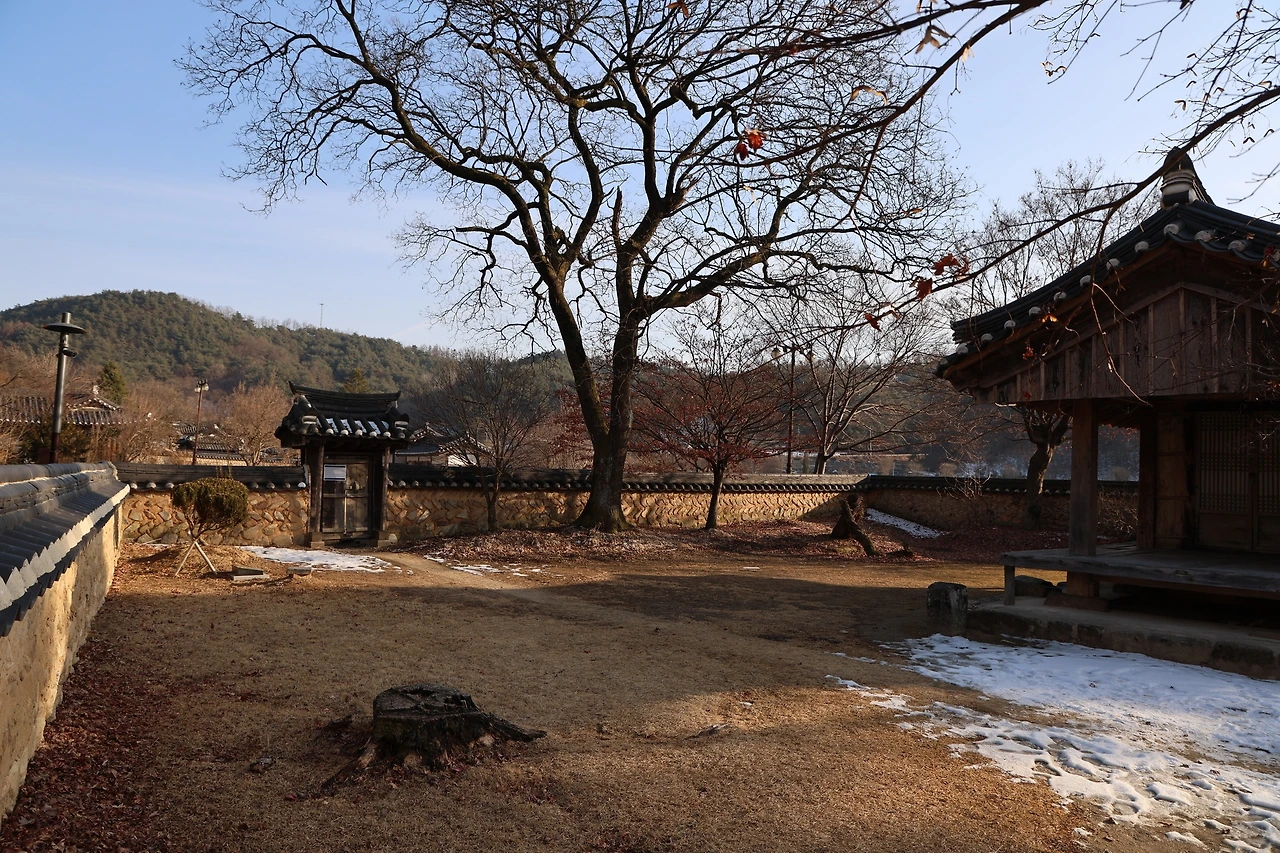 0R5A9271_новый размер.JPG