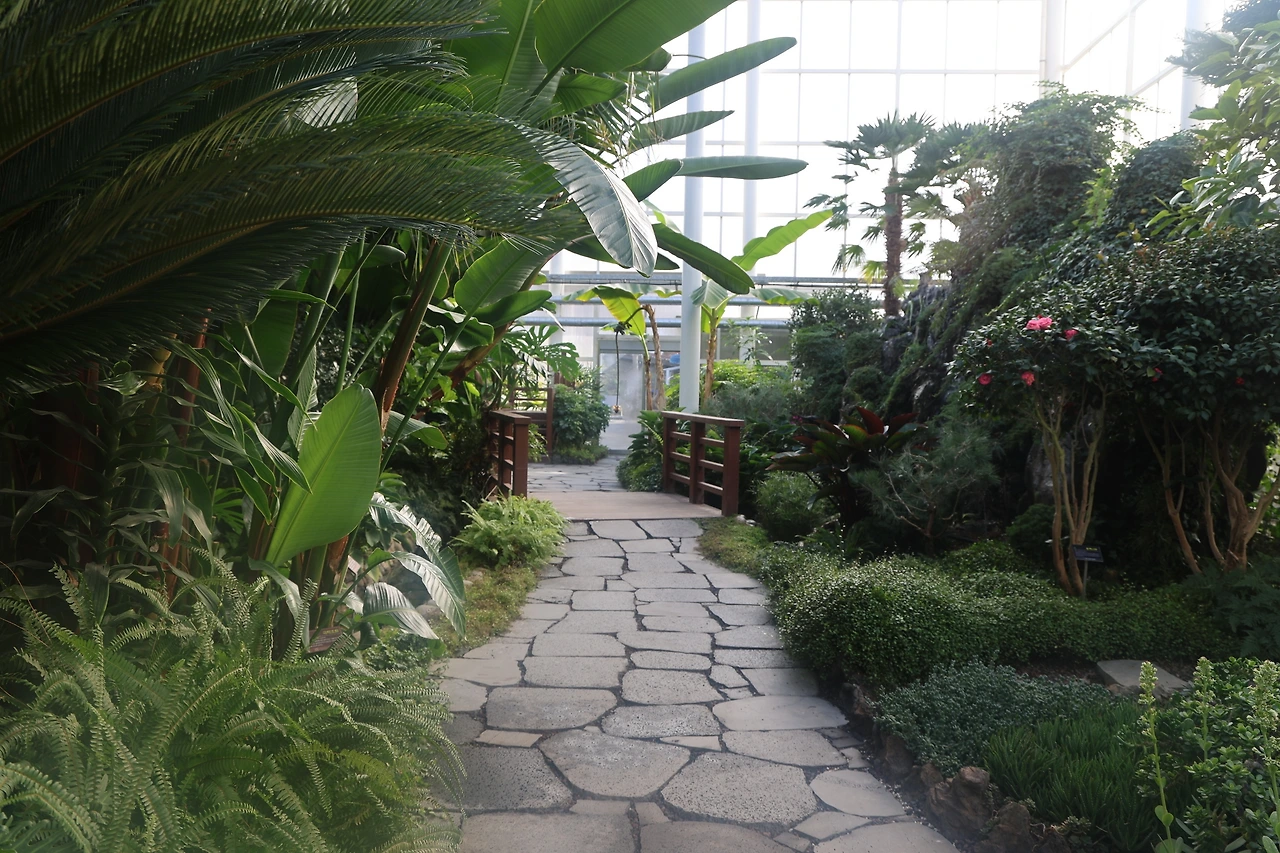 0R5A8389_новый размер.JPG