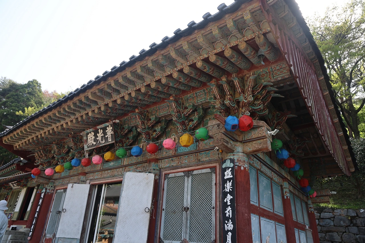 0R5A8358_новый размер.JPG