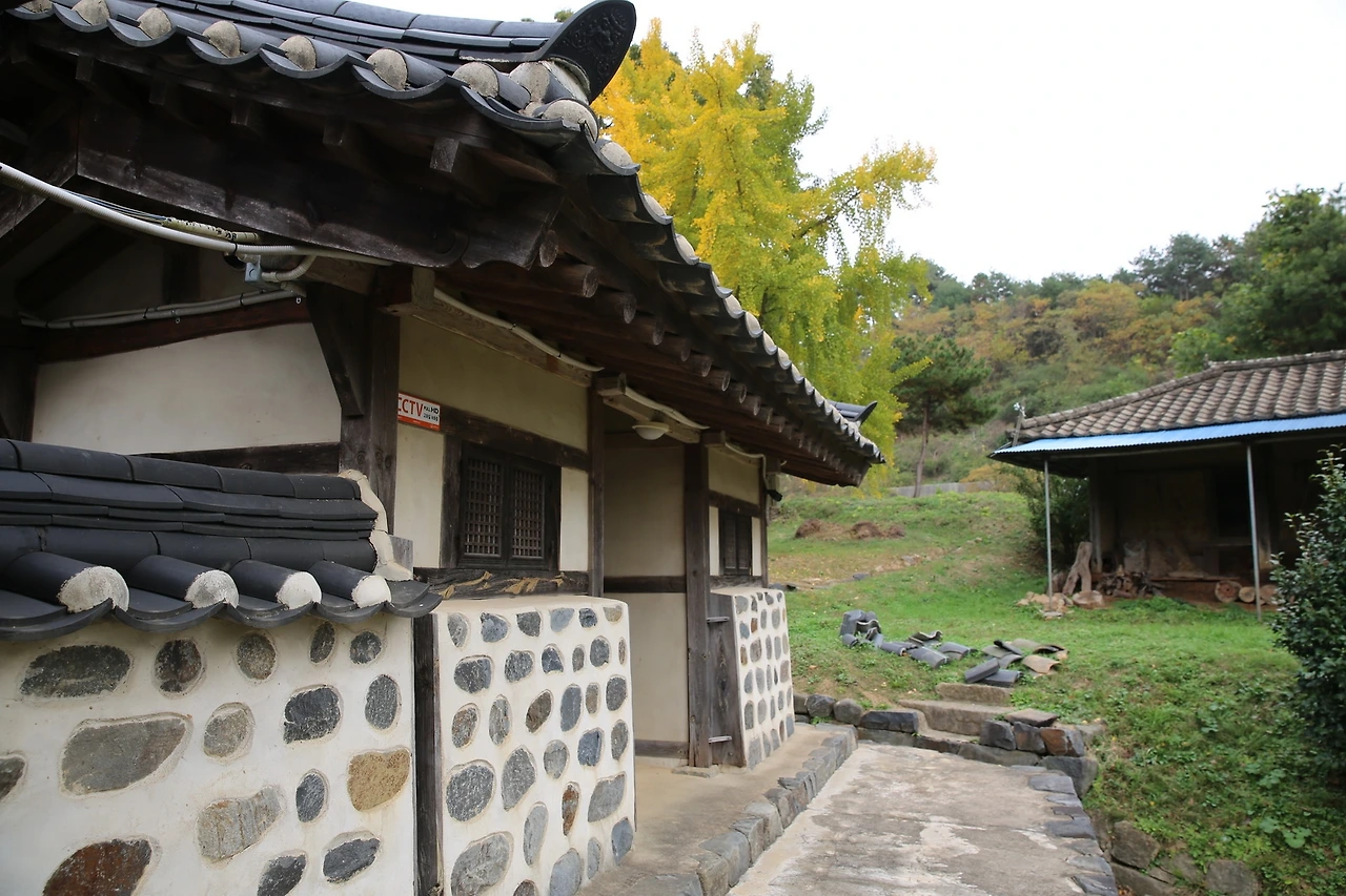 MG0A9738_новый размер.JPG