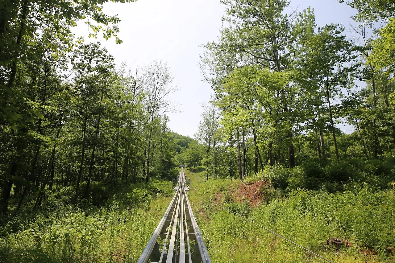 MG0A0929_новый размер.JPG