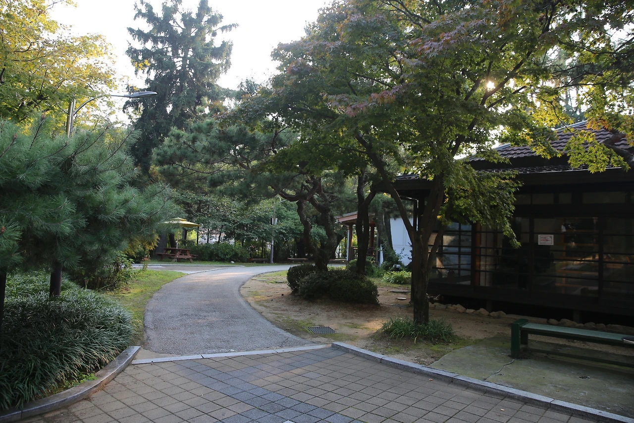 MG0A4678_новый размер.JPG