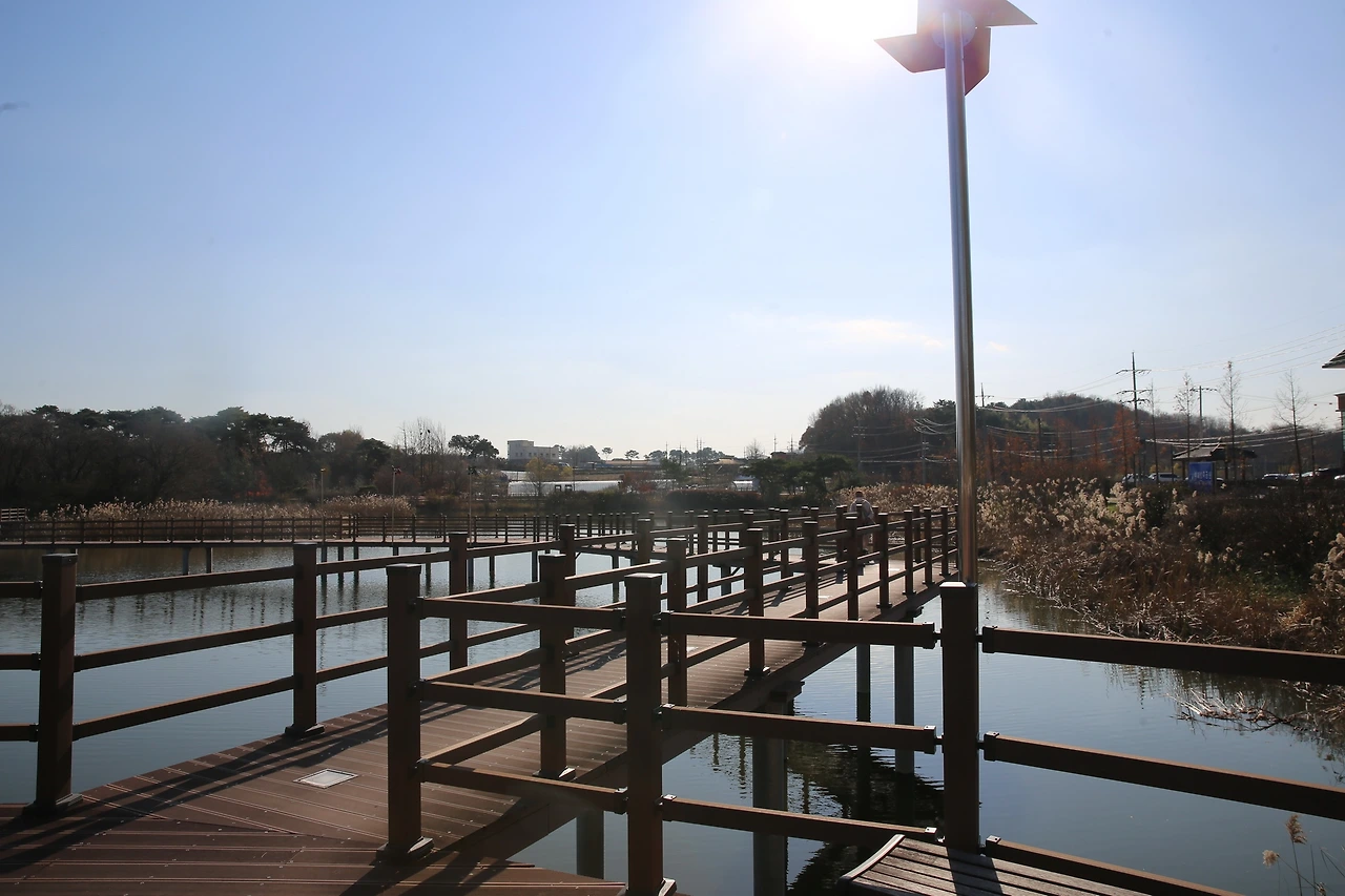 MG0A2703_новый размер.JPG