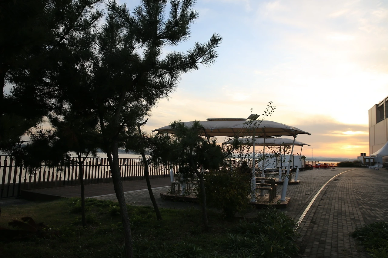 MG0A0398_новый размер.JPG