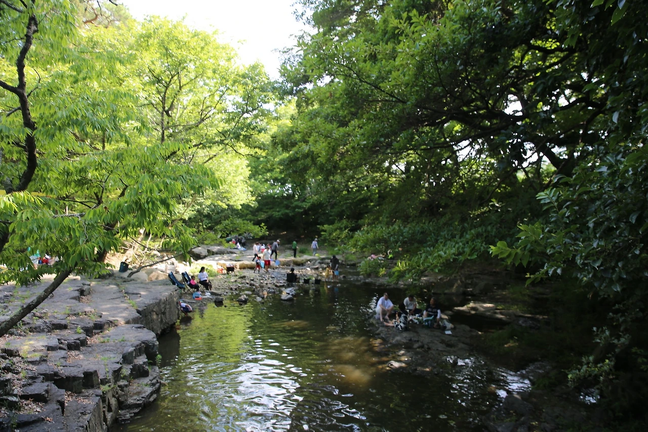 MG0A8222_новый размер.JPG