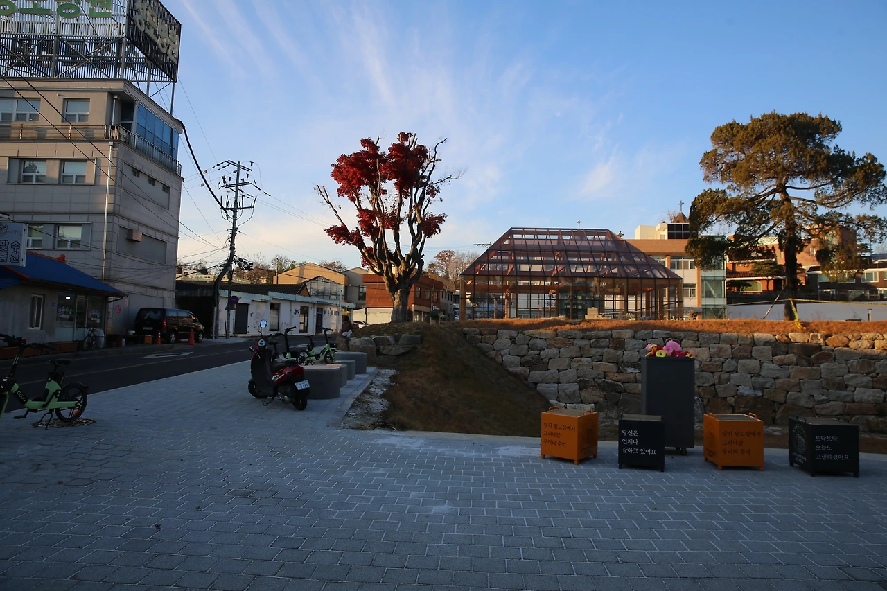 MG0A2960_новый размер.JPG