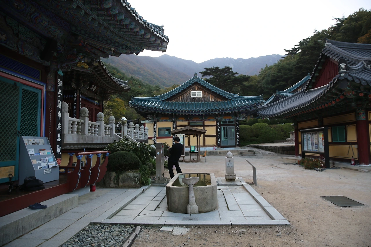 MG0A8367_новый размер.JPG