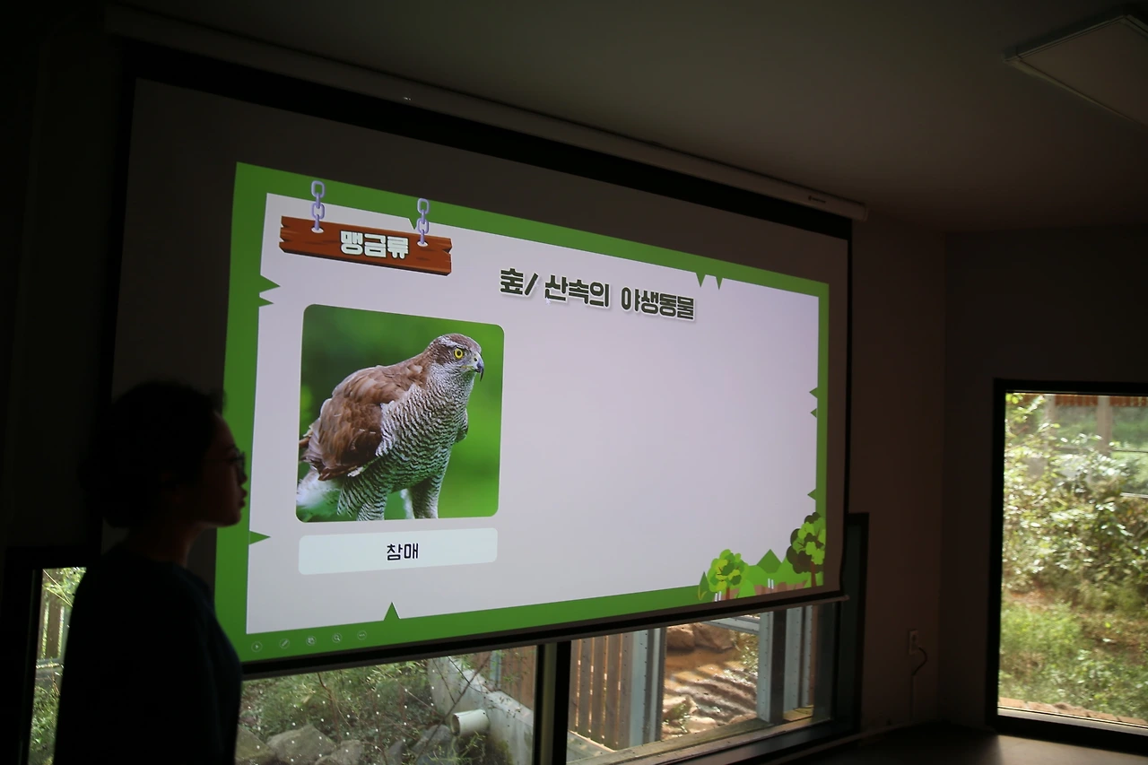 MG0A0032_новый размер.JPG