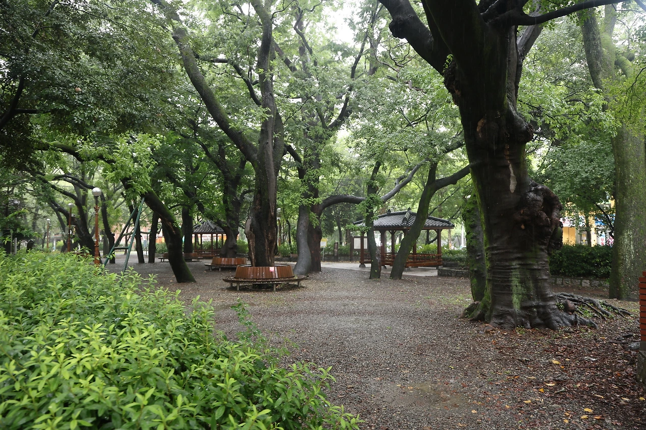 0R5A1442_новый размер.JPG