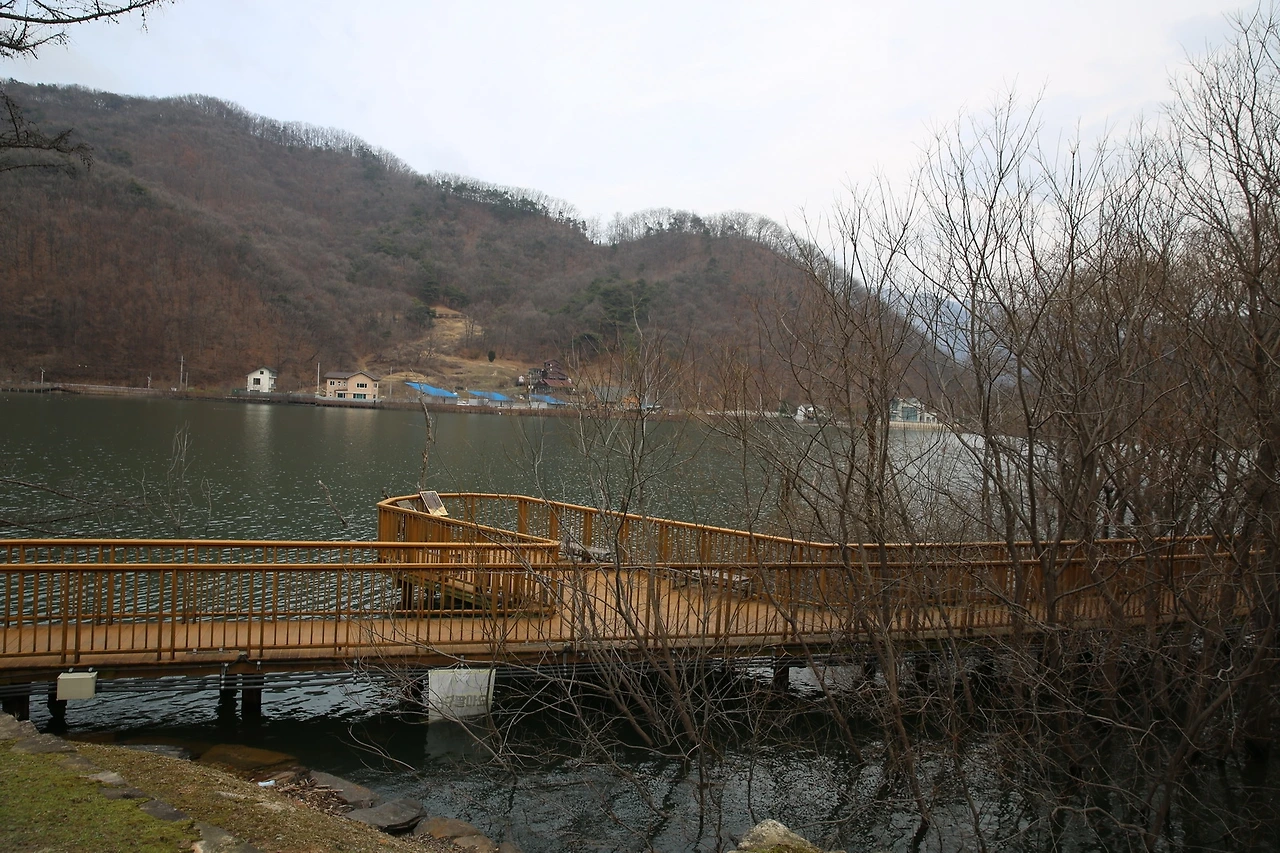 MG0A1593_новый размер.JPG