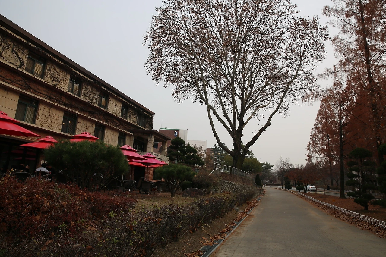 MG0A3609_новый размер.JPG