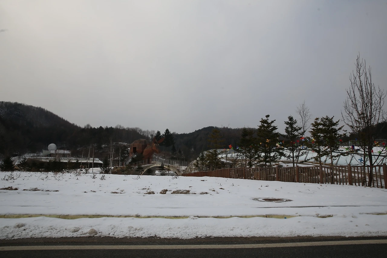 MG0A4326_новый размер.JPG