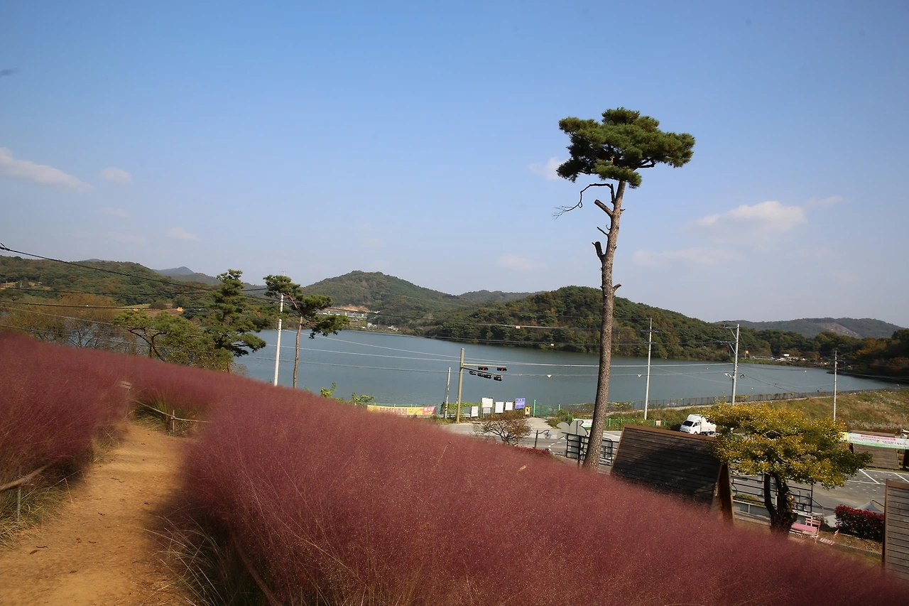 MG0A8699_новый размер.JPG