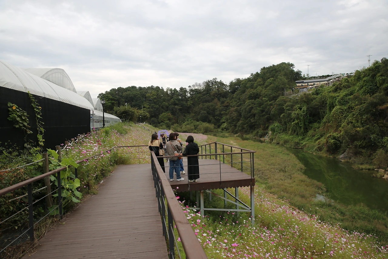 MG0A5518_новый размер.JPG