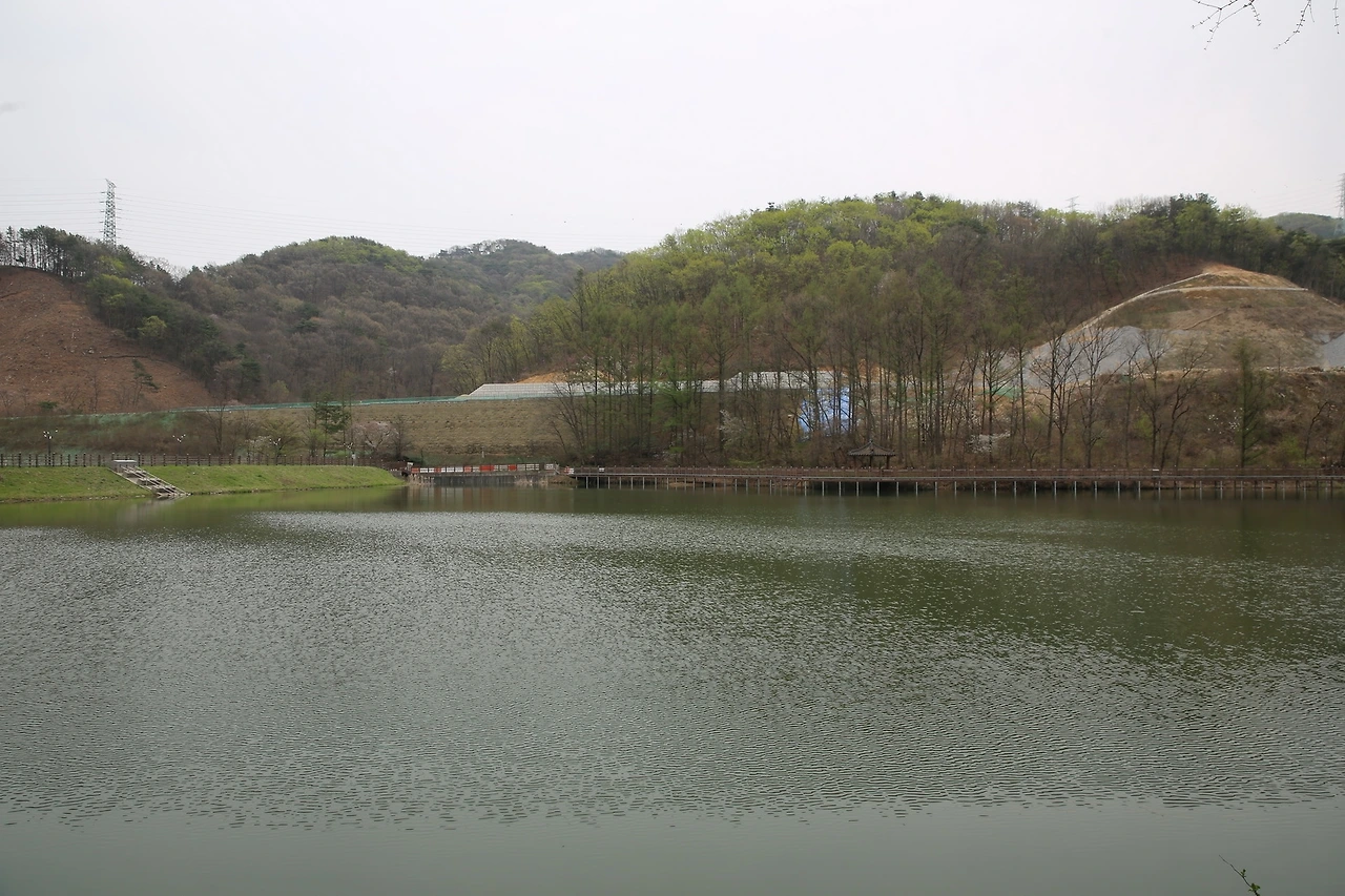 MG0A8593_новый размер.JPG