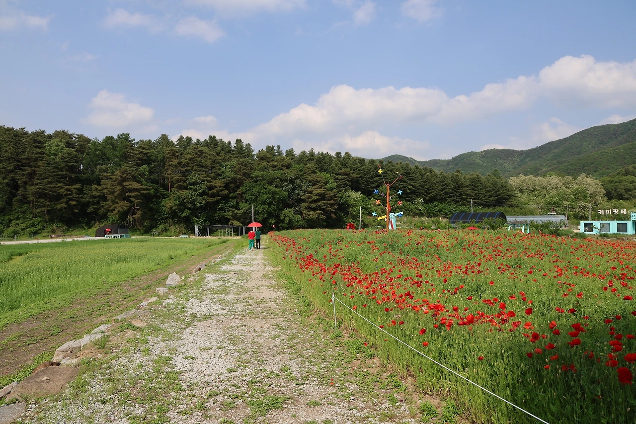 0R5A1530_новый размер.JPG