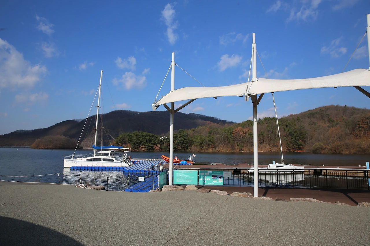 MG0A3179_новый размер.JPG