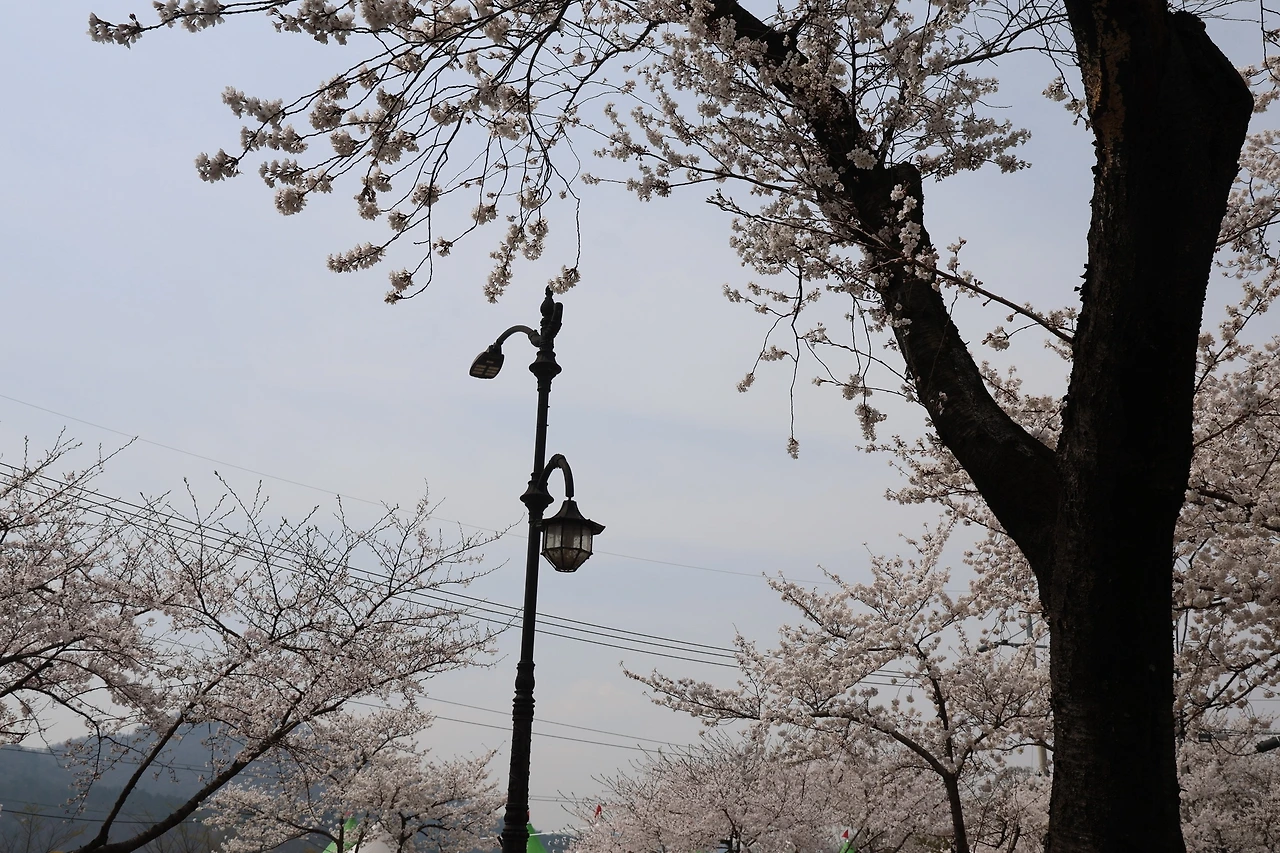 0R5A4688_новый размер.JPG