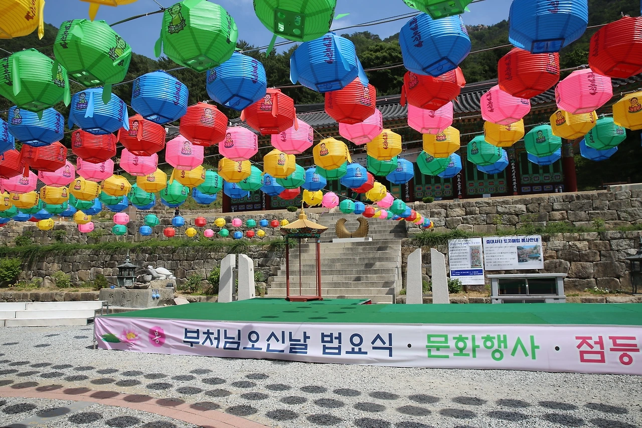 MG0A0702_новый размер.JPG