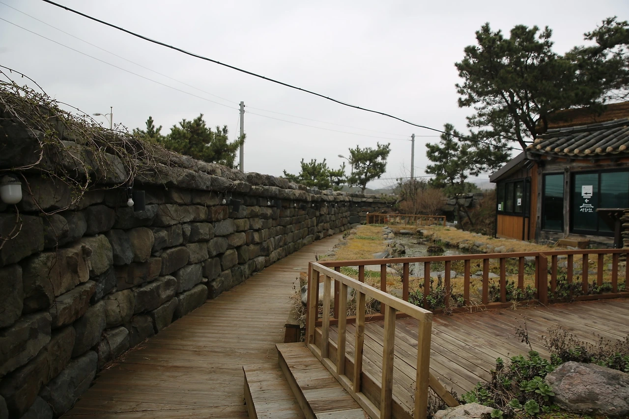 MG0A8052_новый размер.JPG