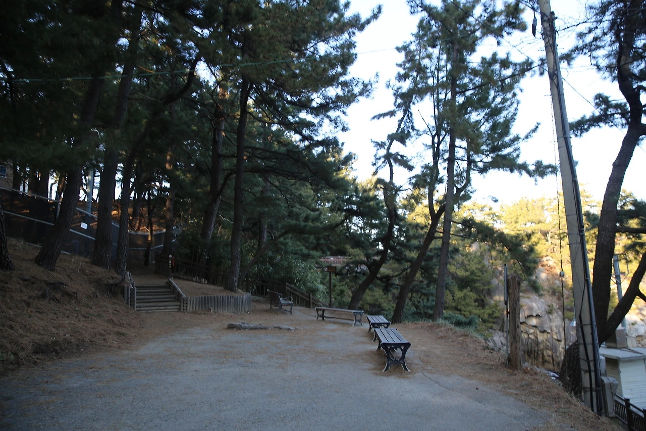 MG0A6630_новый размер.JPG