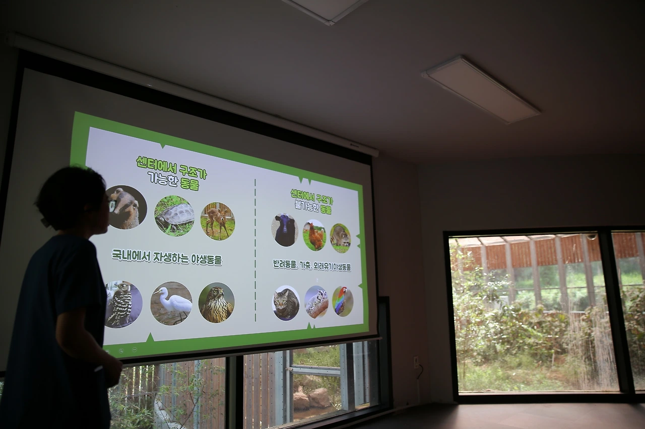 MG0A0042_новый размер.JPG