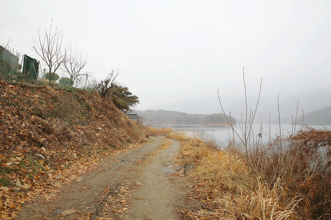 MG0A6145_новый размер_exposure.JPG