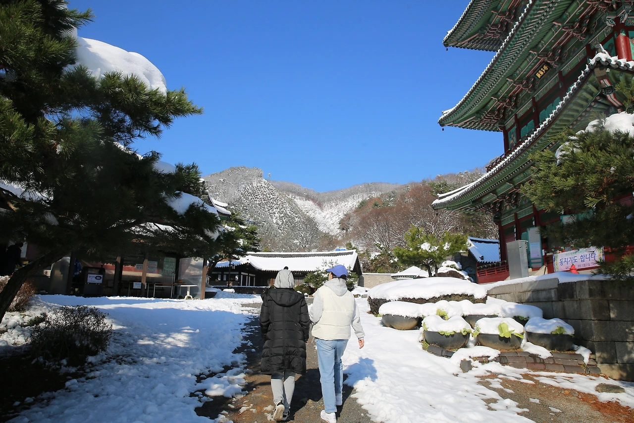 MG0A2339_новый размер.JPG