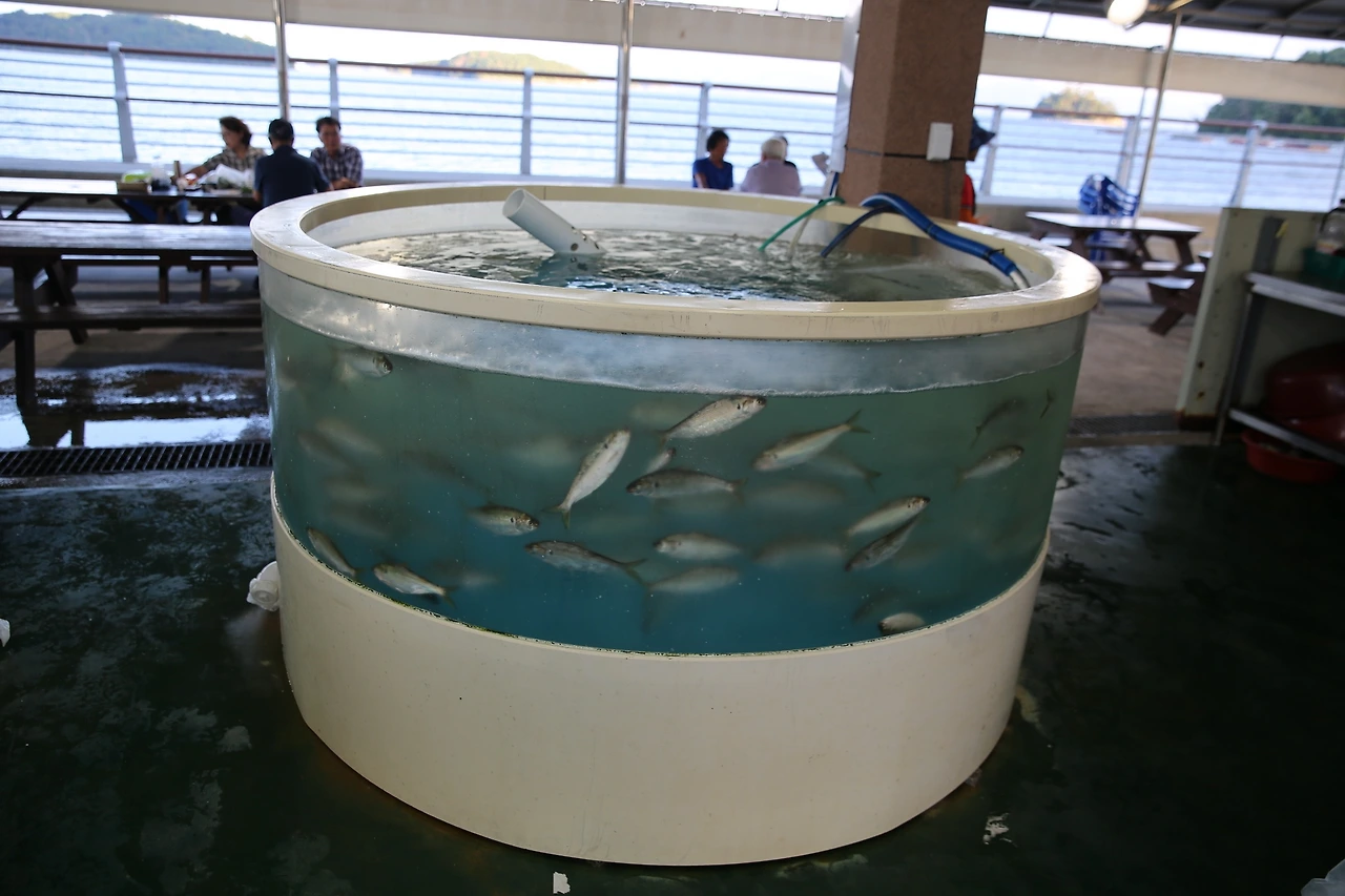 MG0A8841_новый размер.JPG