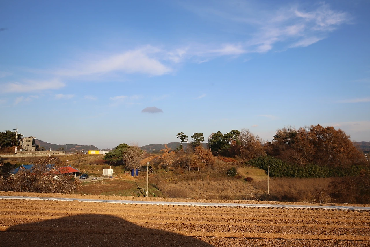 MG0A2941_новый размер.JPG