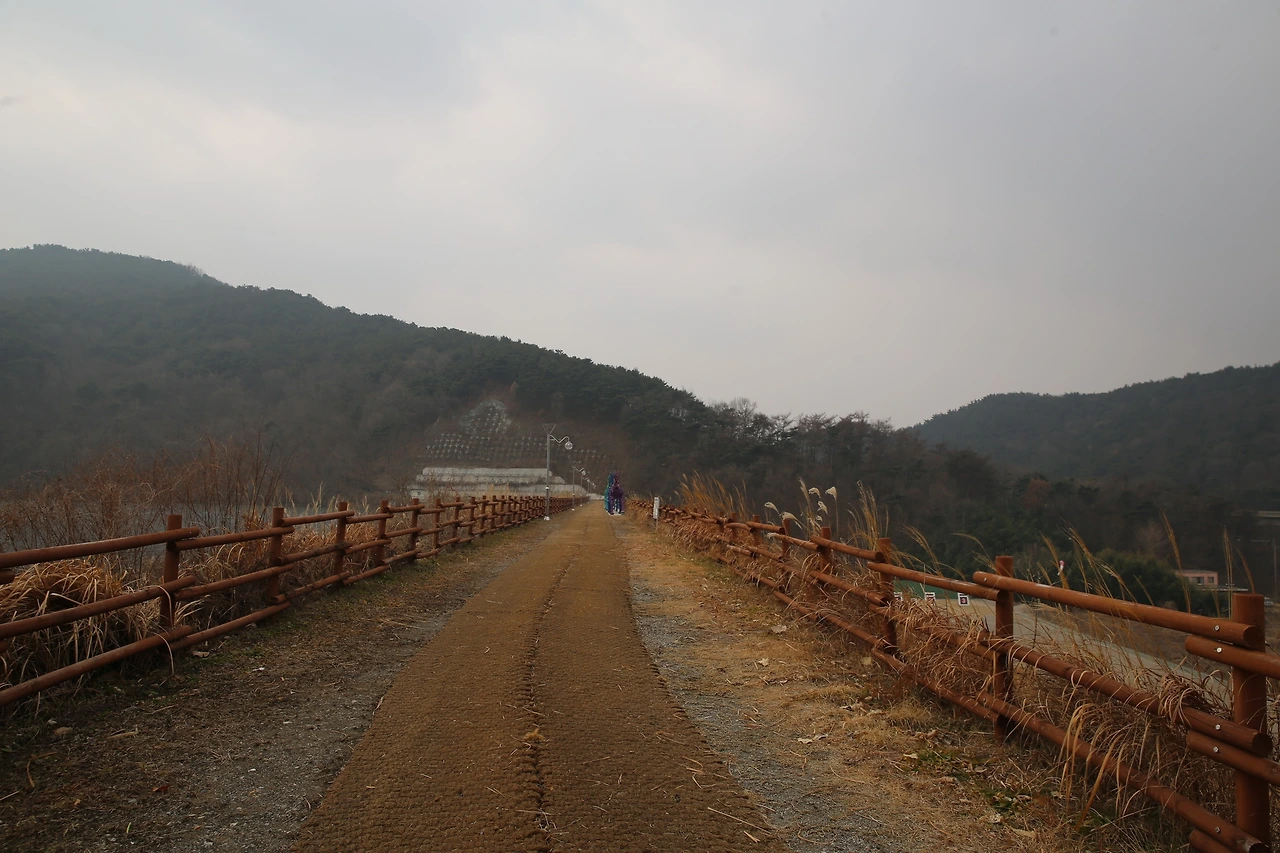 MG0A6692_новый размер.JPG