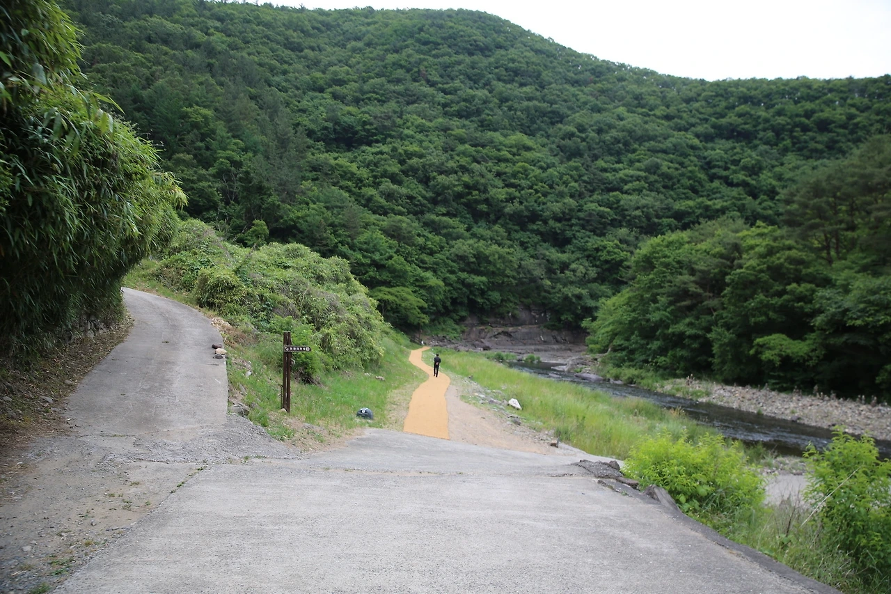 MG0A5504_новый размер.JPG