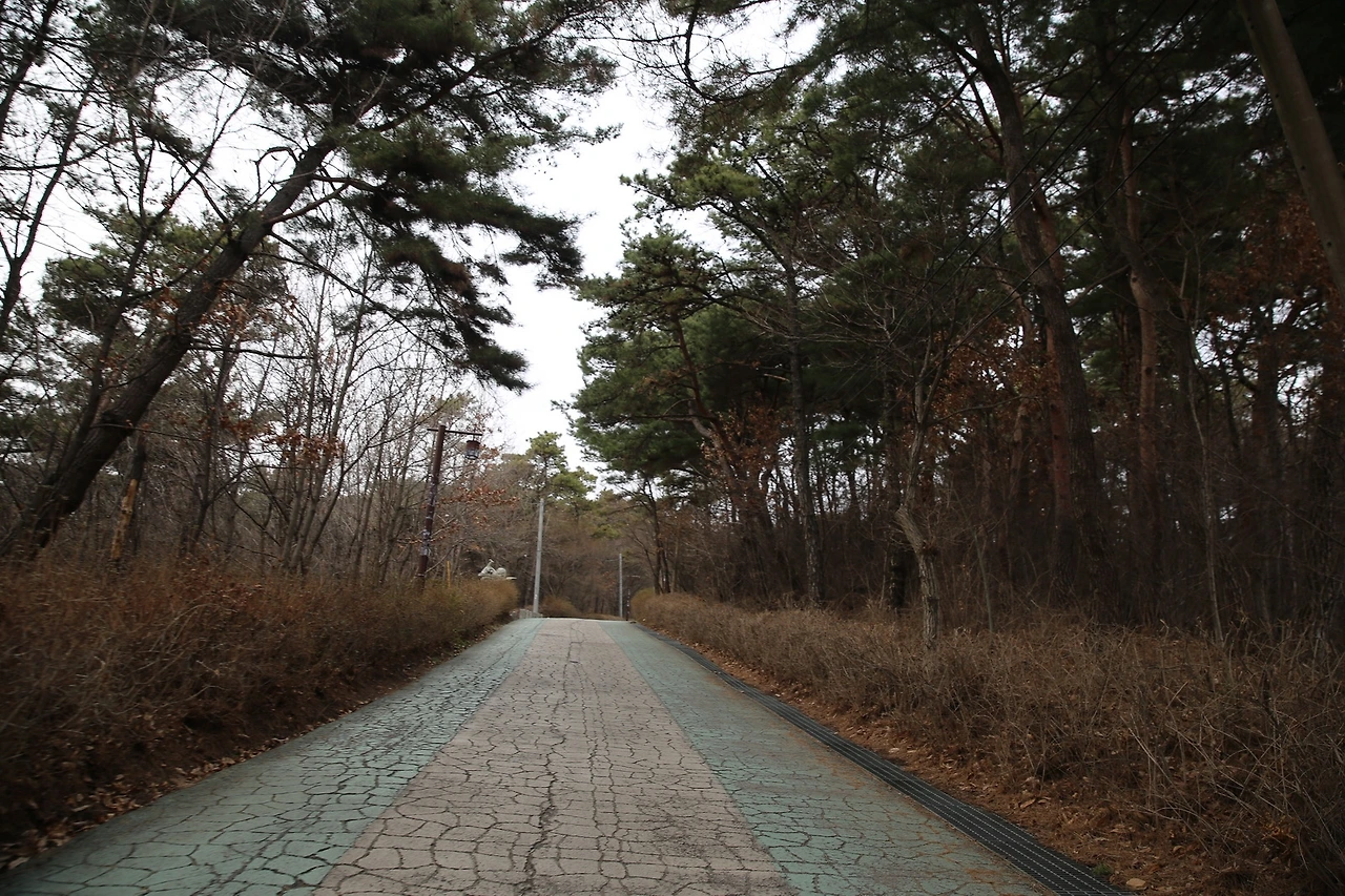 MG0A4625_новый размер.JPG