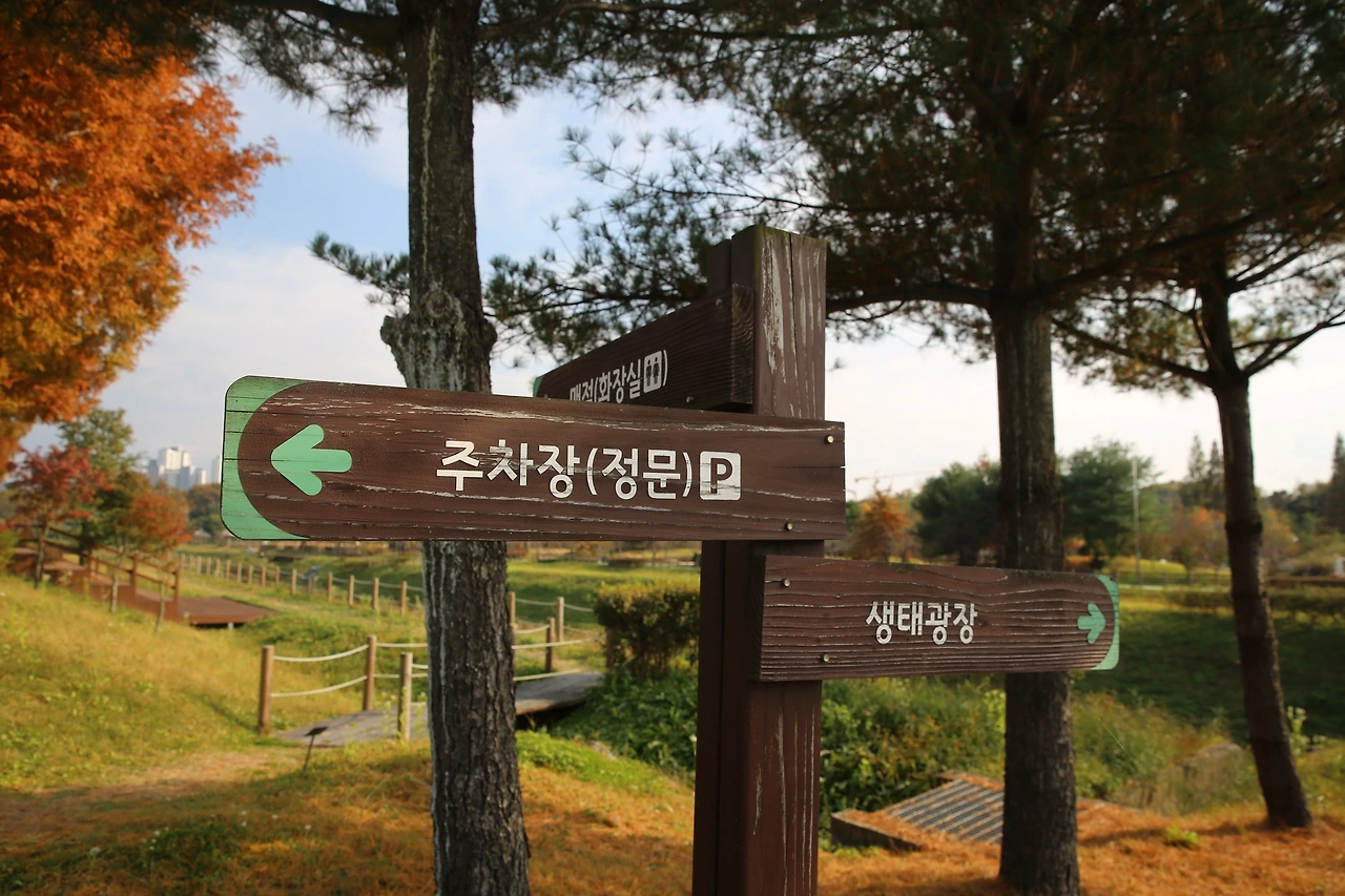 MG0A9661_новый размер.JPG