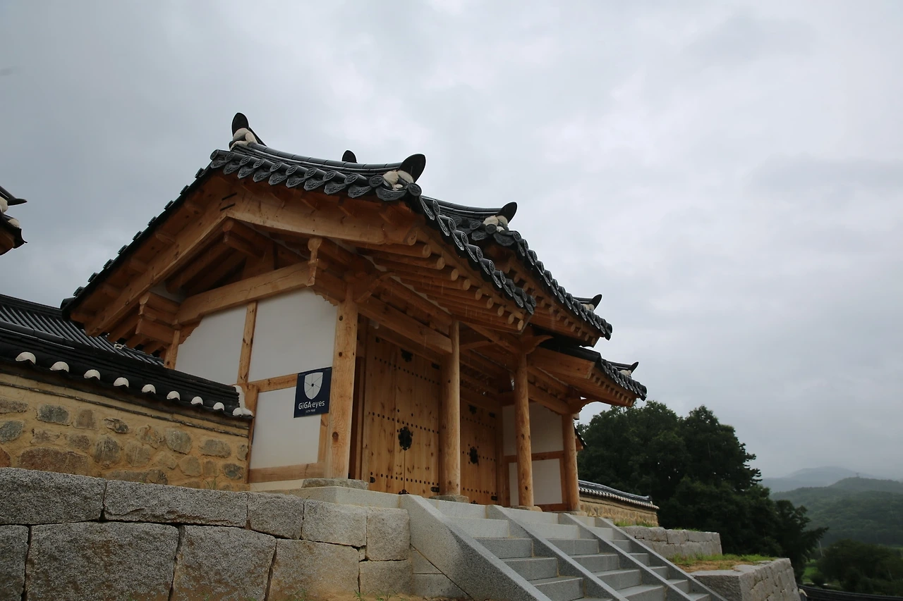 MG0A5996_новый размер.JPG