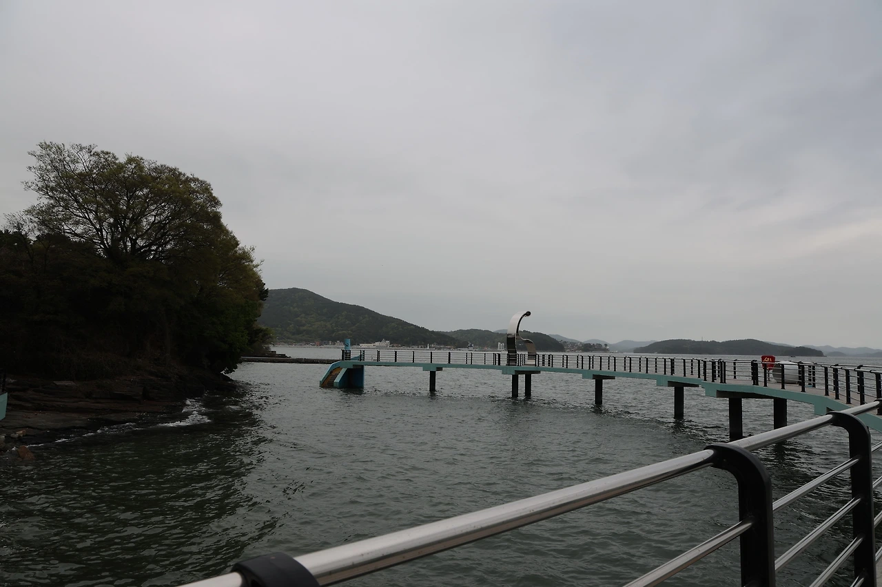 0R5A7724_новый размер.JPG