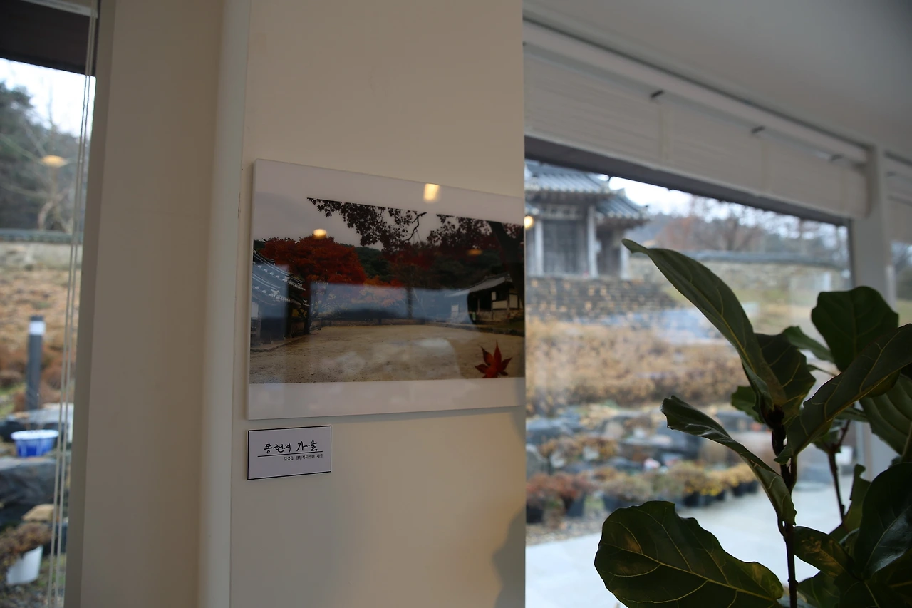 MG0A5939_новый размер.JPG