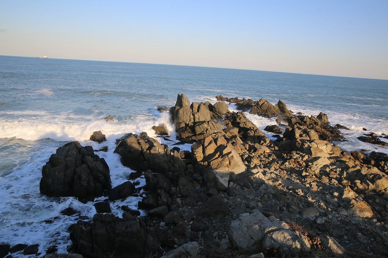 MG0A7374_новый размер.JPG