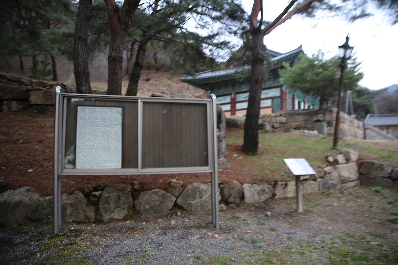 MG0A8468_новый размер.JPG