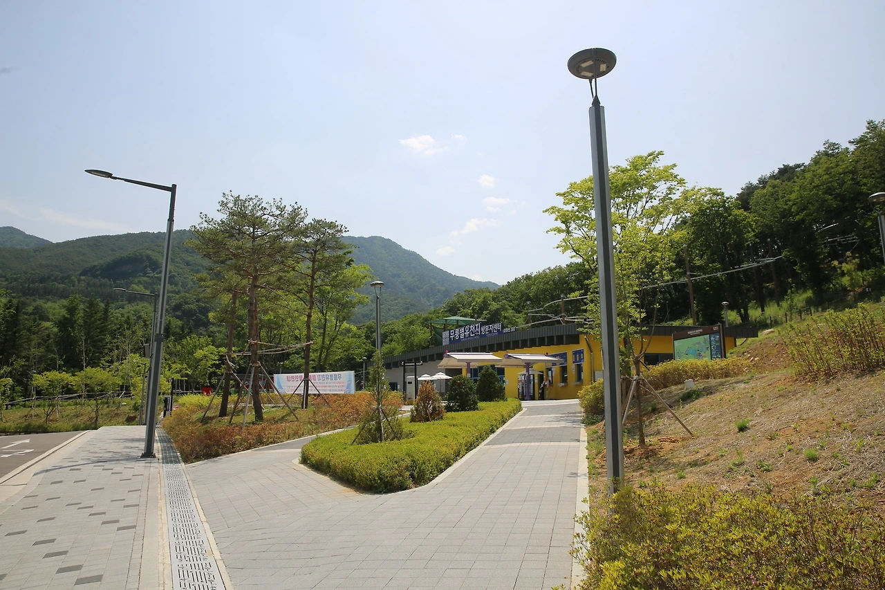 MG0A0913_новый размер.JPG