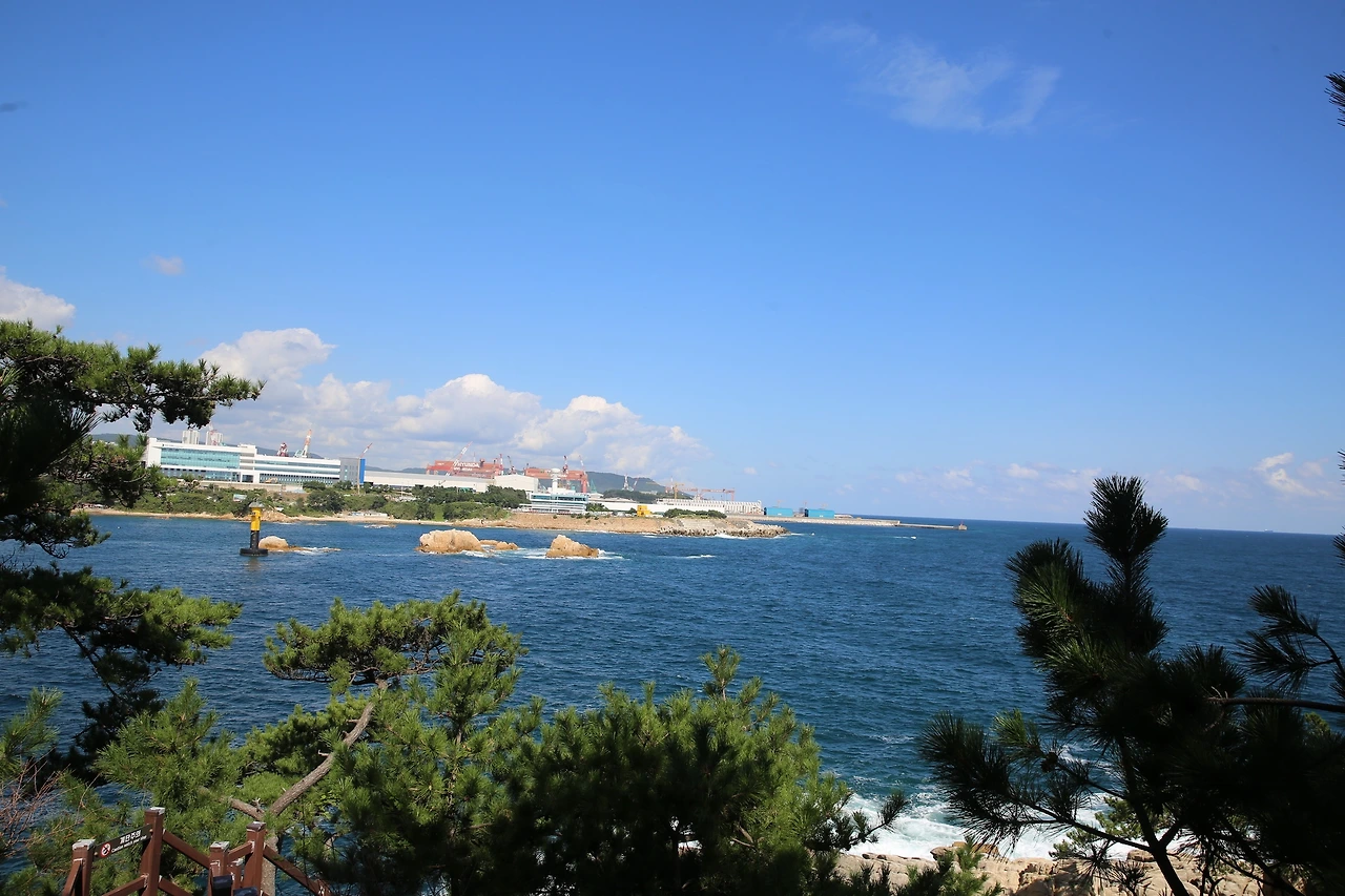 MG0A3888_новый размер.JPG