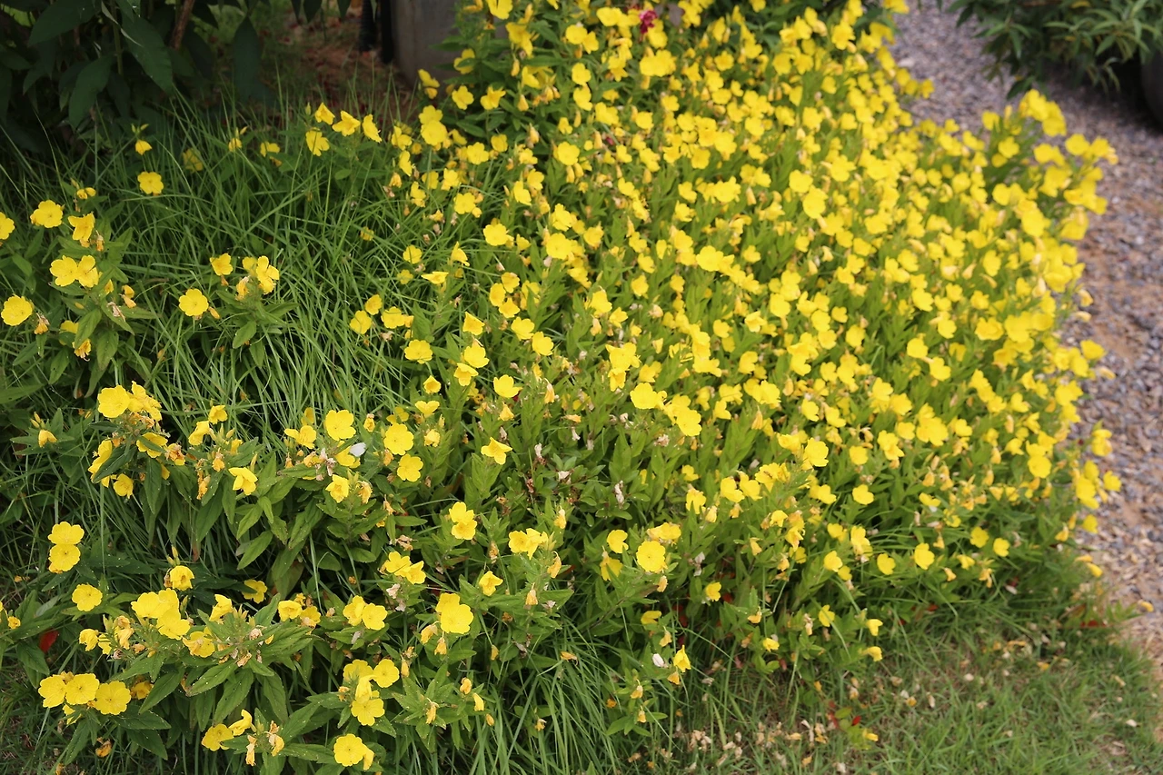 MG0A6950_новый размер.JPG