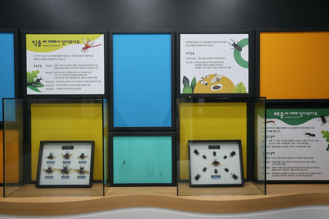 0R5A1838_новый размер.JPG