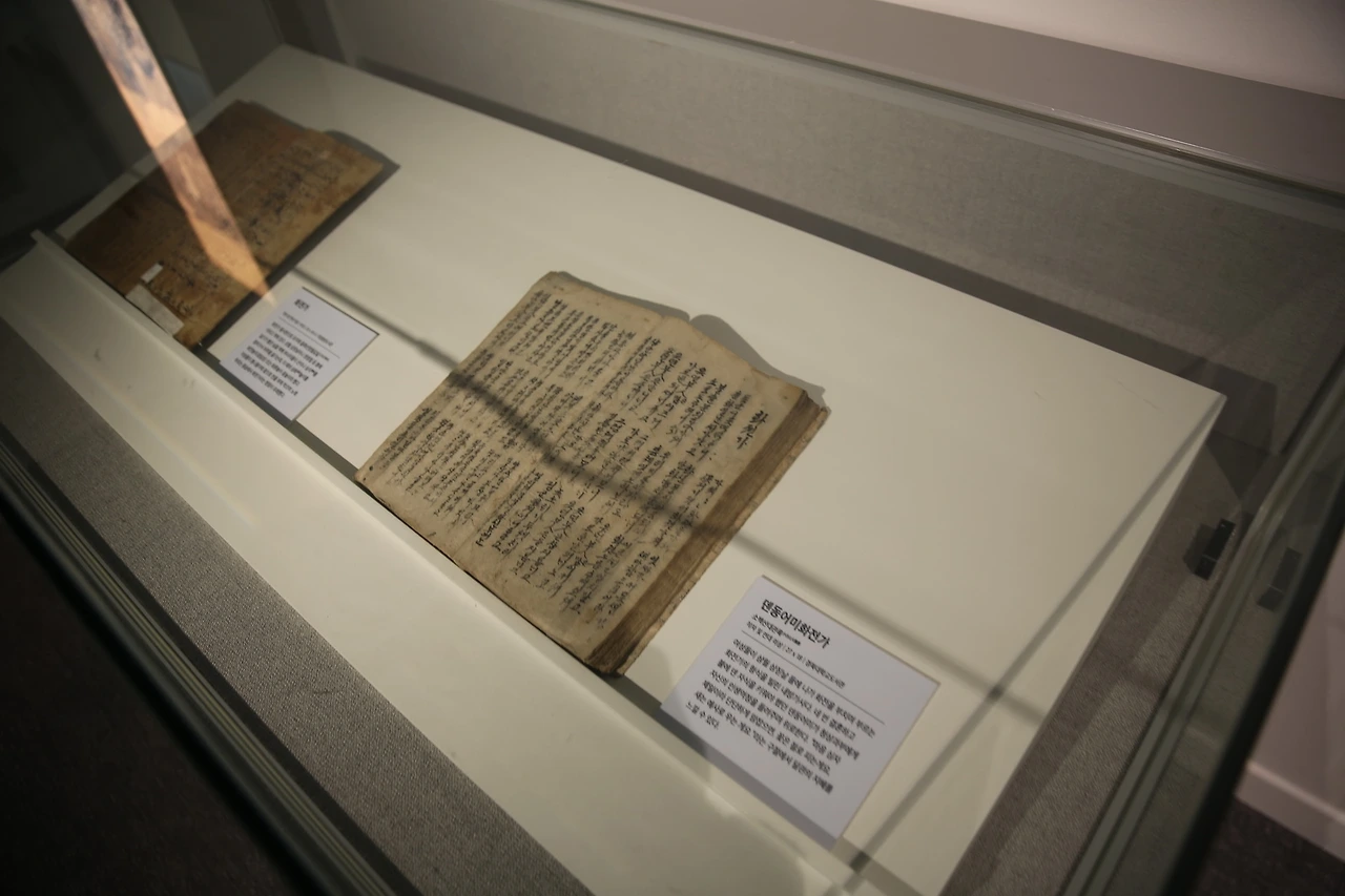 MG0A7627_новый размер.JPG