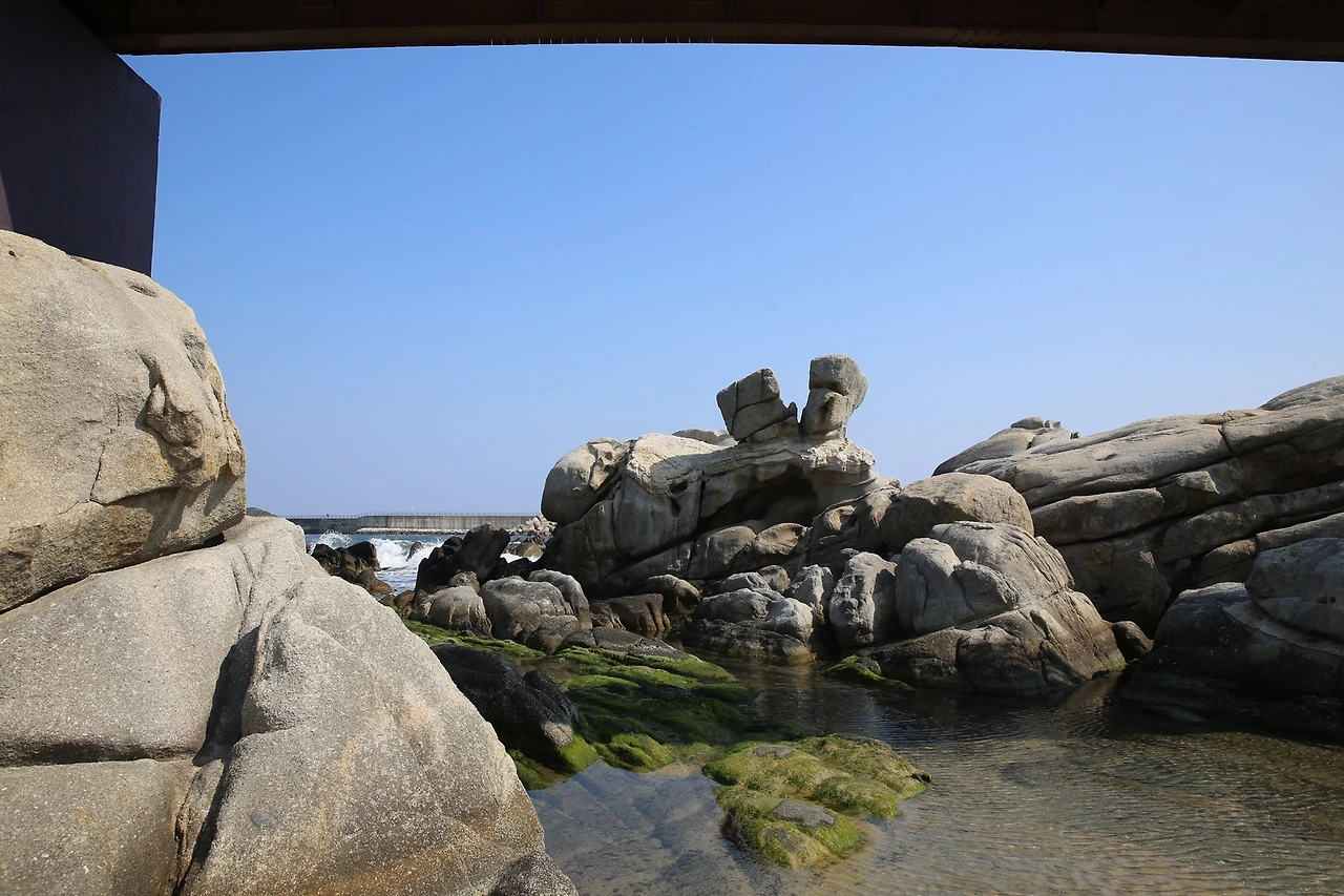 MG0A5097_новый размер.JPG