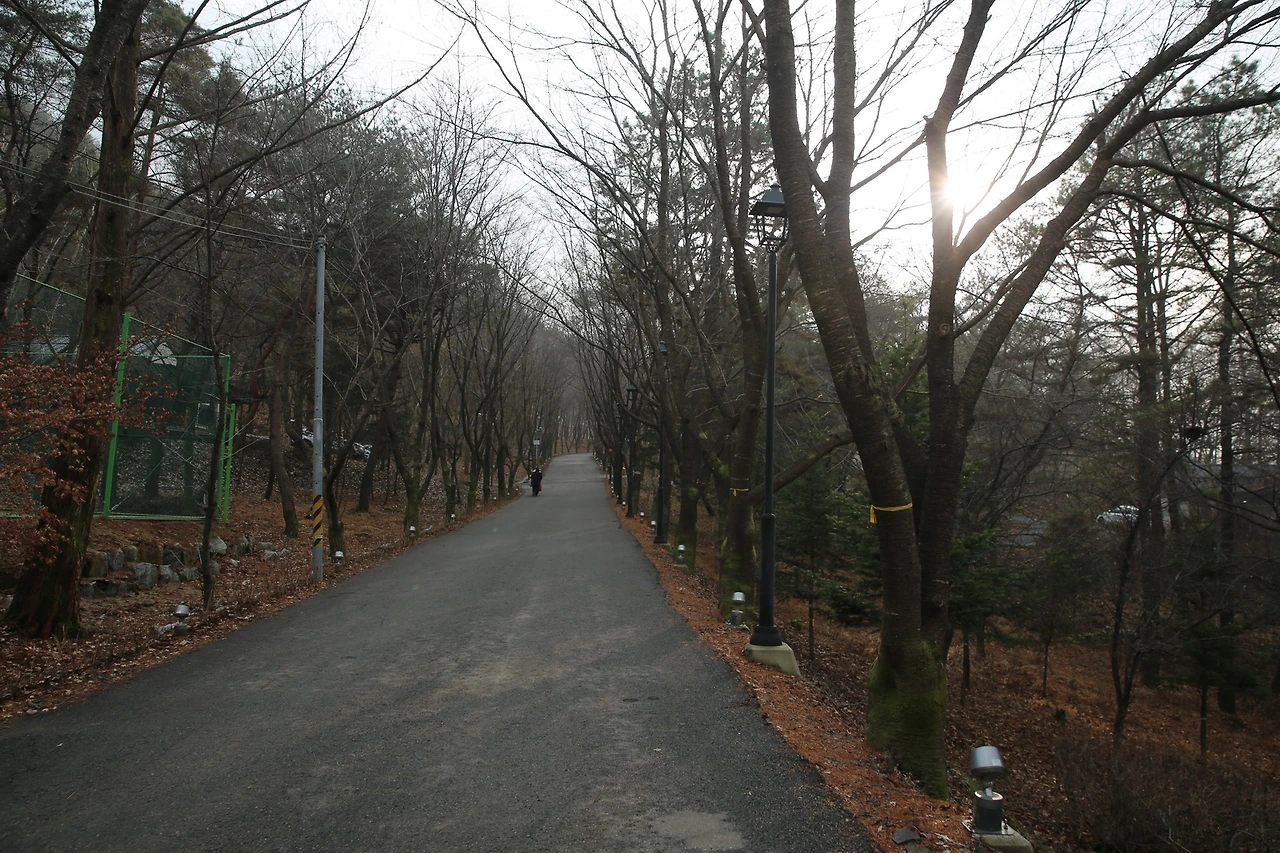 MG0A5472_новый размер.JPG