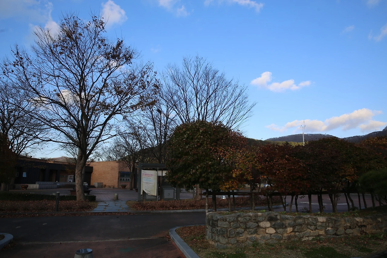 MG0A0642_новый размер.JPG