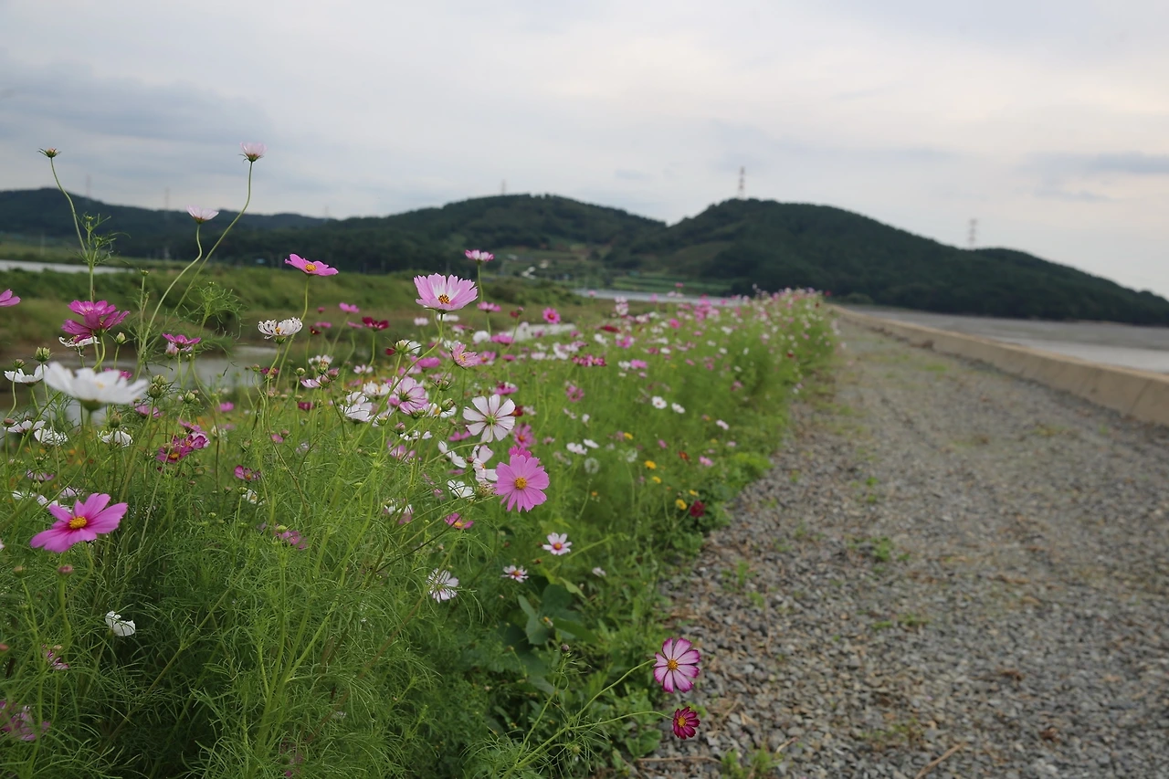 MG0A3492_новый размер.JPG