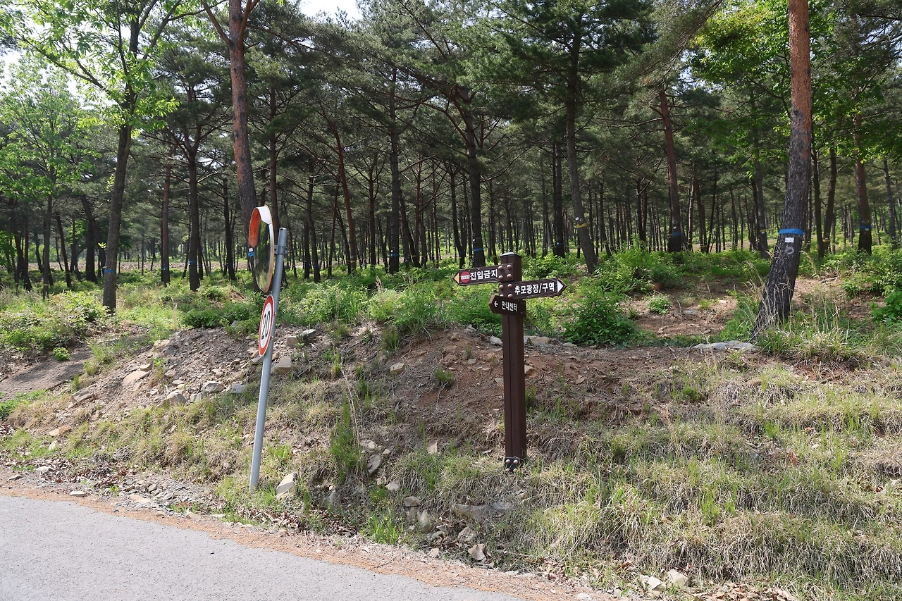 0R5A0400_новый размер.JPG