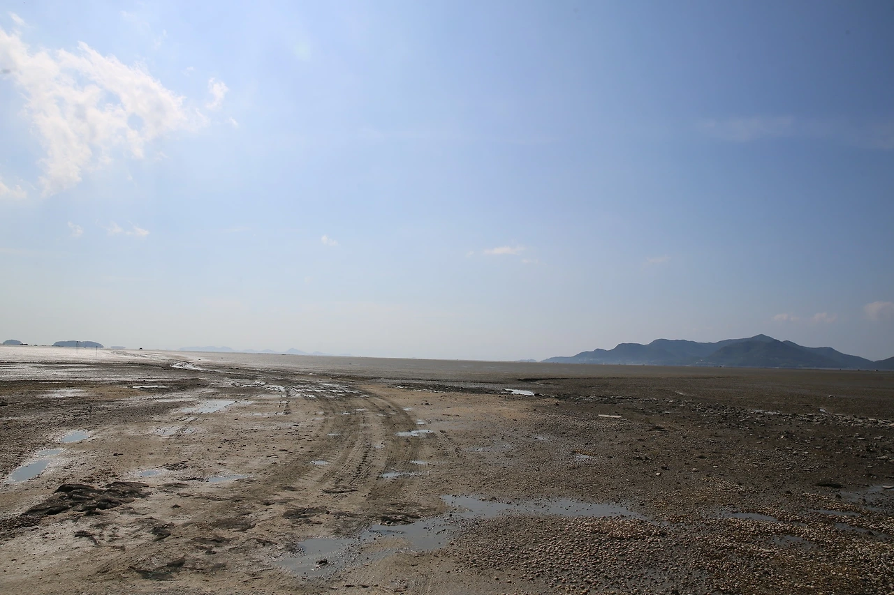 MG0A4593_новый размер.JPG